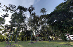 Blk 605 Choa Chu Kang Street 62 (Choa Chu Kang), HDB Executive #597177031